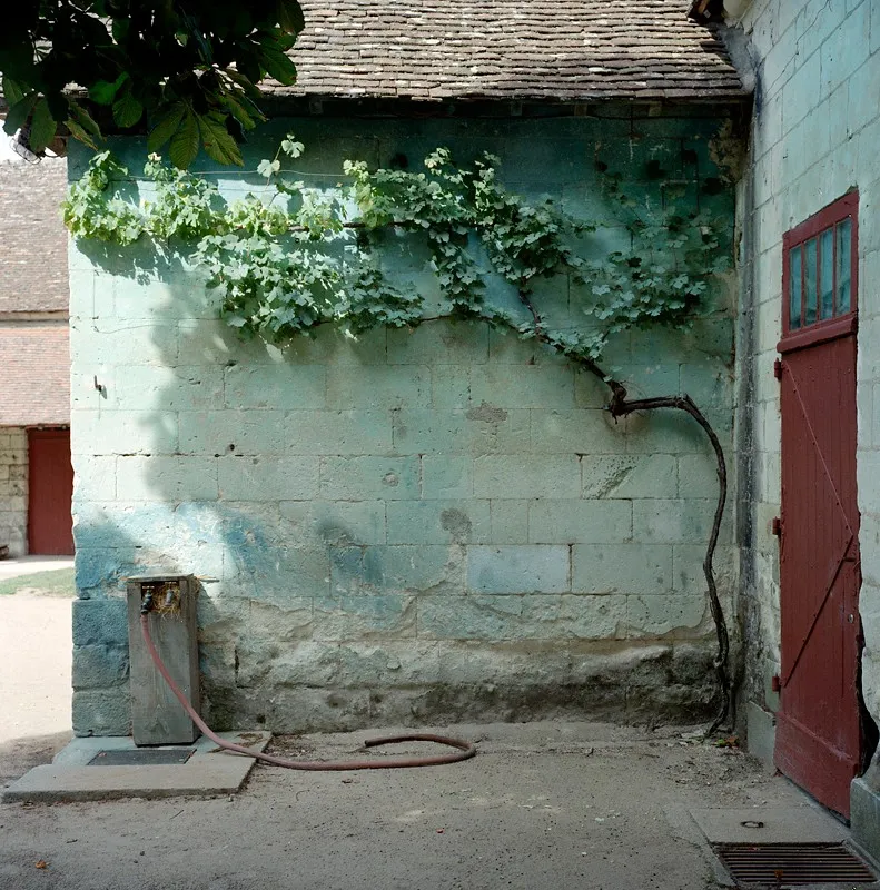Chenonceau — a photograph by Willard Traub.