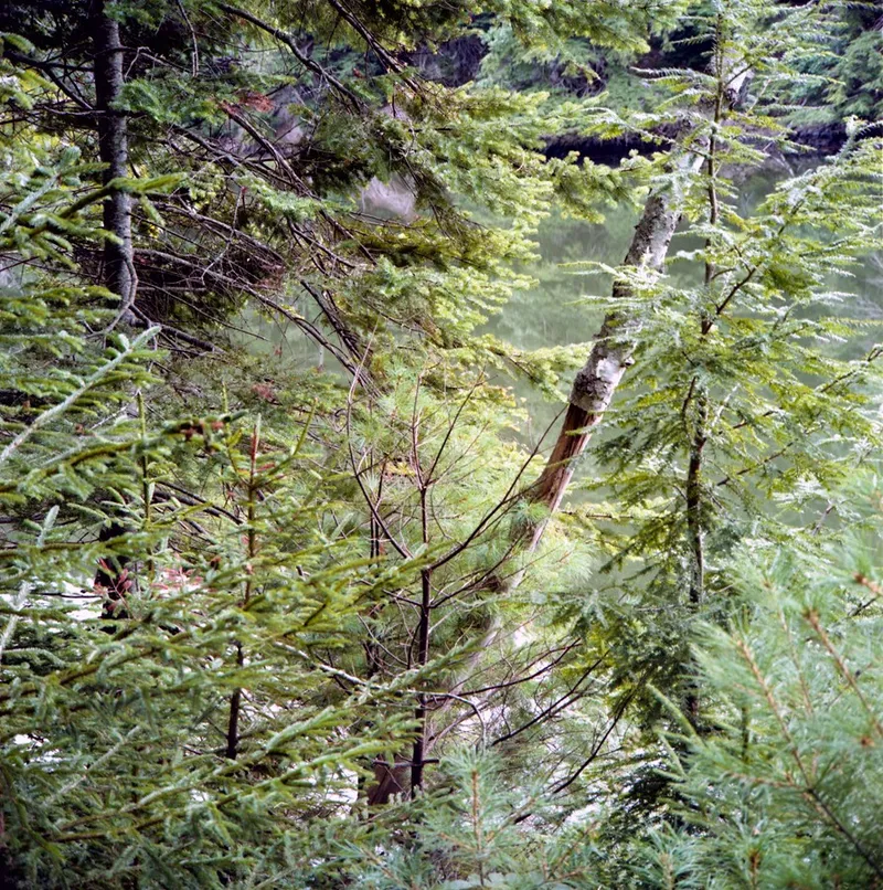 Georgetown #3 IMG-002 — a photograph by Willard Traub.