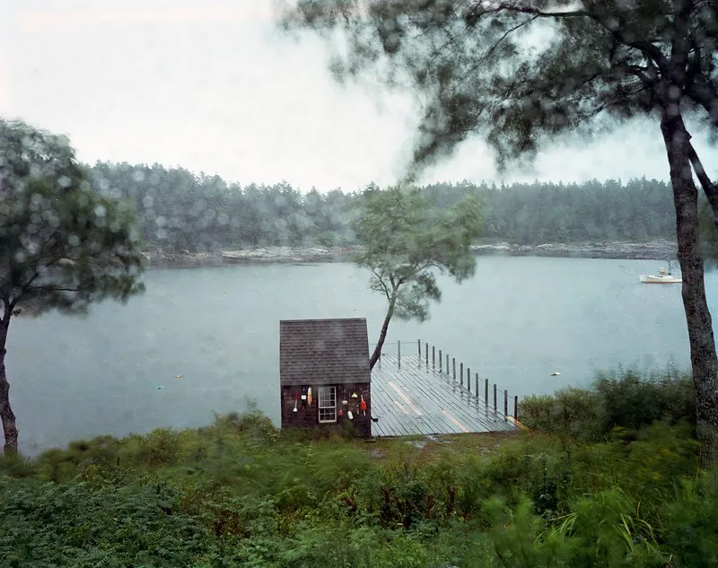 Hurricane — a photograph by Willard Traub.