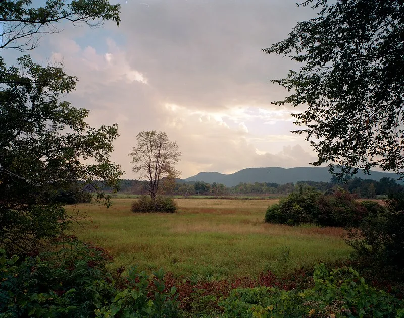 Ice Glen Road — a photograph by Willard Traub.