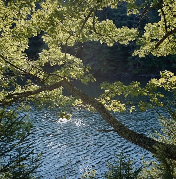 Indian Point Road #2 — a photograph by Willard Traub.