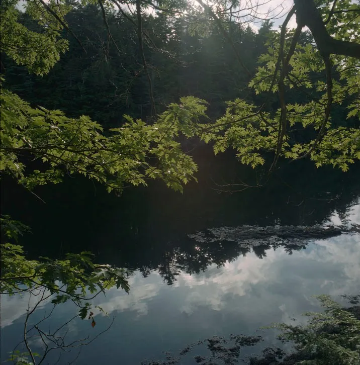 Indian Point Road #3 — a photograph by Willard Traub.