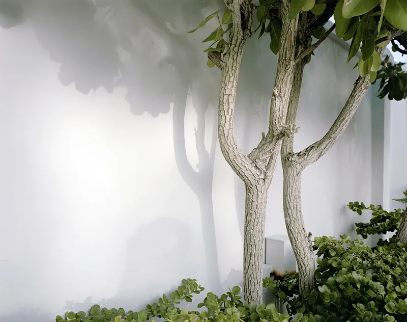Island Wall — a photograph by Willard Traub.