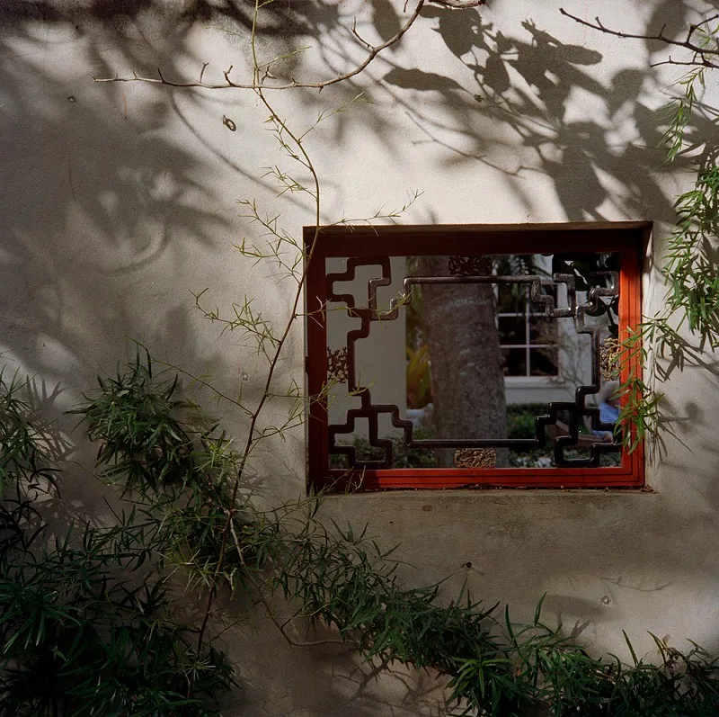 Mom at the Society of 4 arts — a photograph by Willard Traub.