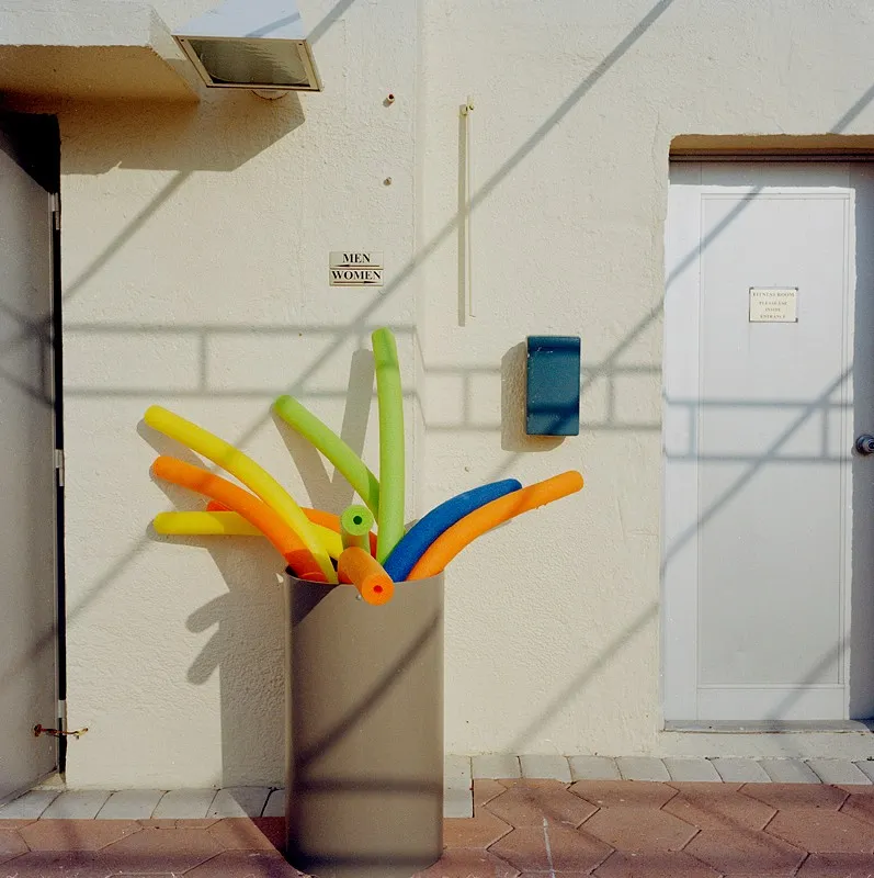 Noodles Boogie — a photograph by Willard Traub.