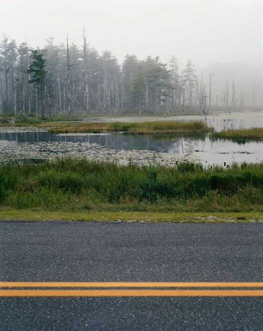 Reid Park Road — a photograph by Willard Traub.