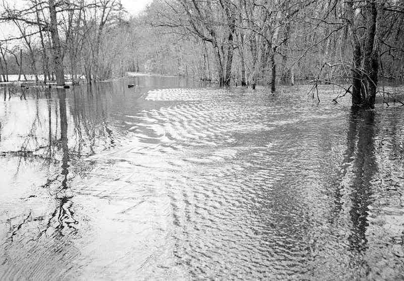 Spring Flood #12 — a photograph by Willard Traub.