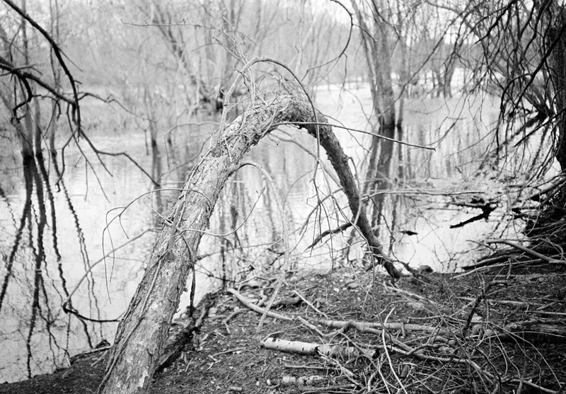 Spring Flood #18 — a photograph by Willard Traub.