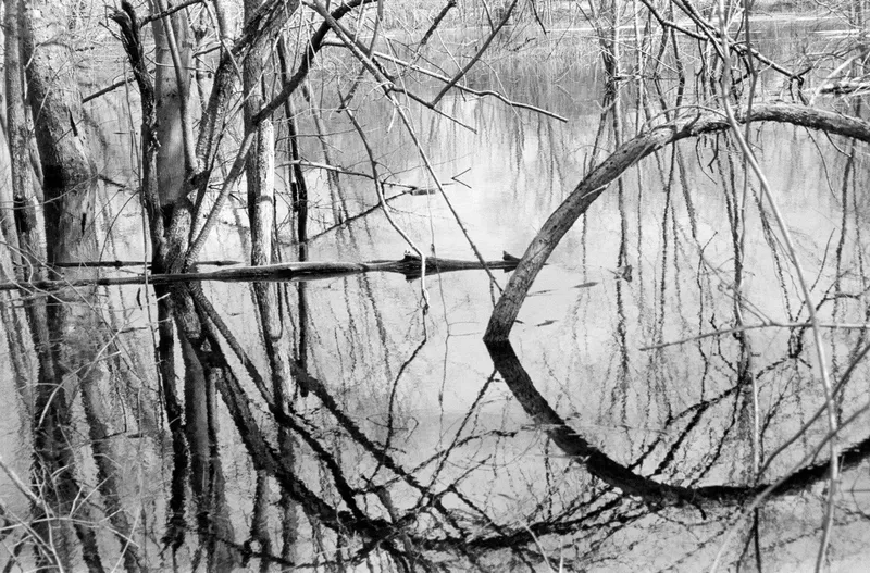Spring Flood #28 — a photograph by Willard Traub.