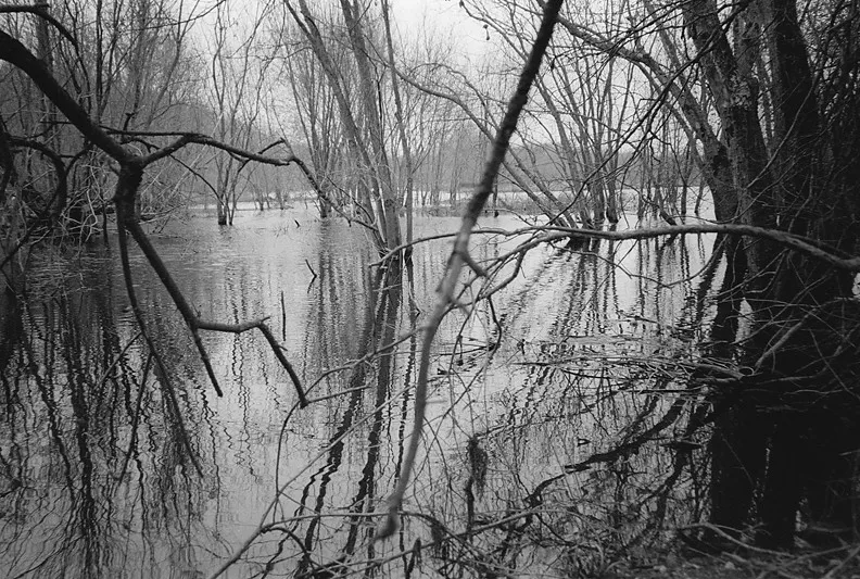 Spring Flood #6 — a photograph by Willard Traub.