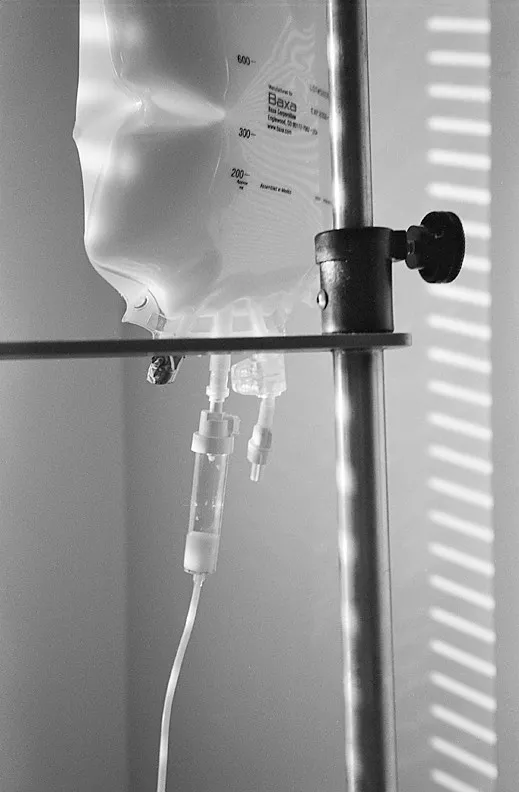 Transplant — a photograph by Willard Traub.