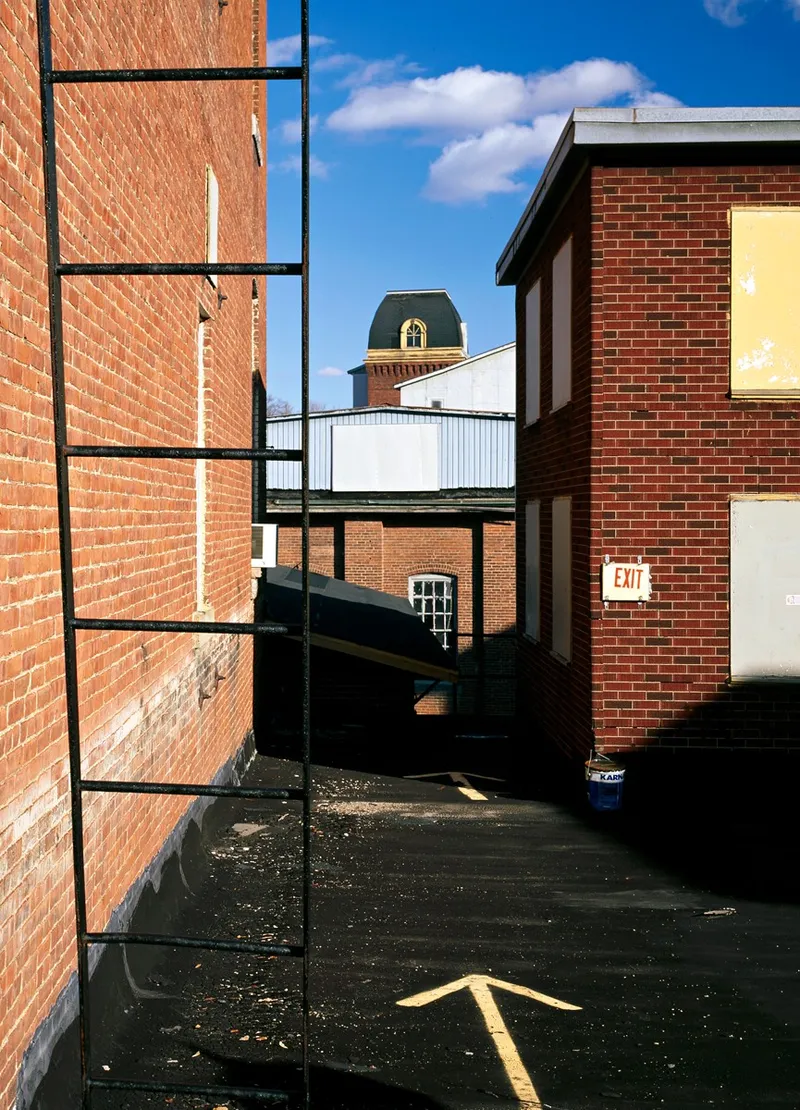 xTraub5 — a photograph by Willard Traub.
