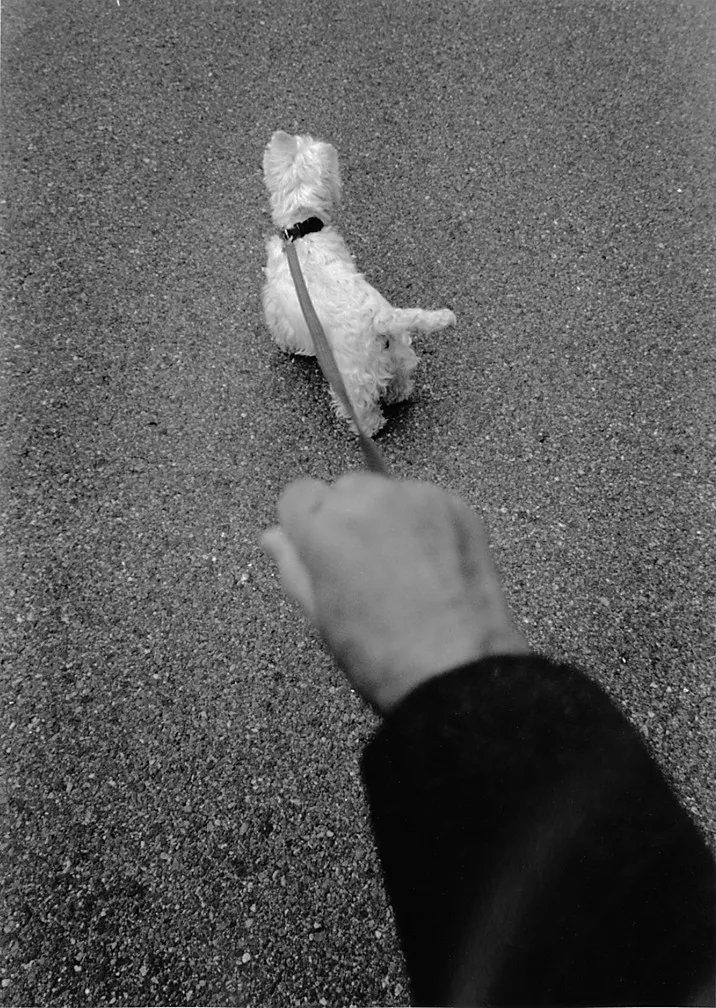 Britten - a photograph by Willard Traub.