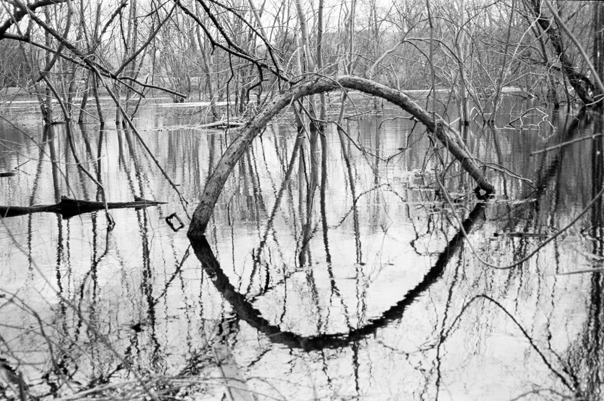 Spring Flood #22 - a photograph by Willard Traub.